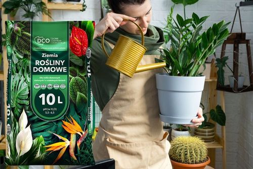 ZIEMIA DO KWIATÓW DONICZKOWYCH monstery palm juk zamiokulkasa na Arena.pl