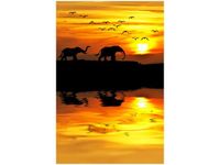 40X60CM AFRYKA OBRAZ