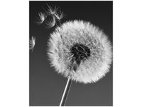 product-compare-58645586