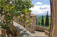 product-compare-58694794