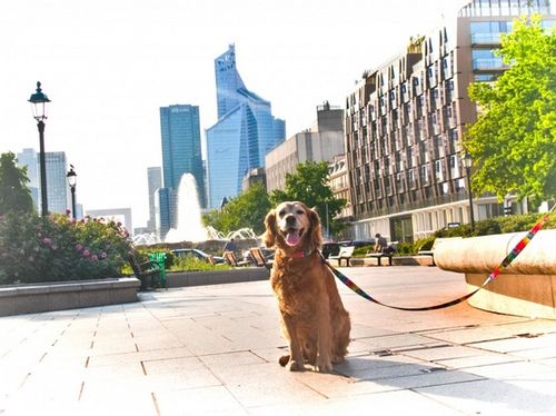 Matteo Smycz Prosta 30mm piksele na Arena.pl