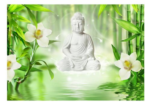 Fototapeta - Budda i natura 150x105 na Arena.pl