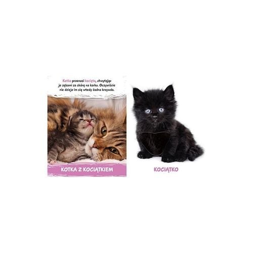 Milusińscy w domu na Arena.pl