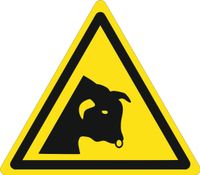 Znak Ostrzeżenie przed bykiem grawerowana 10x10cm duży wybór