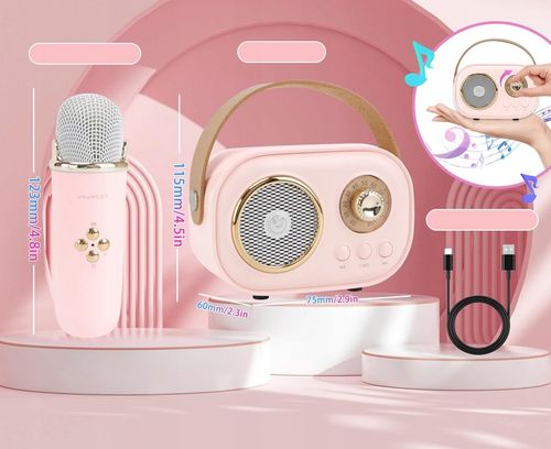 MIKROFON BEZPRZEWODOWY KARAOKE GŁOŚNIK BLUETOOTH C20 PLUS + 2 MIKROFON na Arena.pl