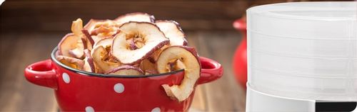 Suszarka spożywcza do grzybów Zelmer ZFD1010 520 W biała na Arena.pl