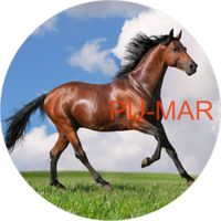 Opłatek na tort KONIE Koń Mustang Konik Kuc Urodziny Tekst Gratis