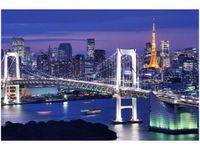 100 70CM OBRAZ PŁÓTNO ZATOKA TOKIJSKA PŁÓTNO RAMA