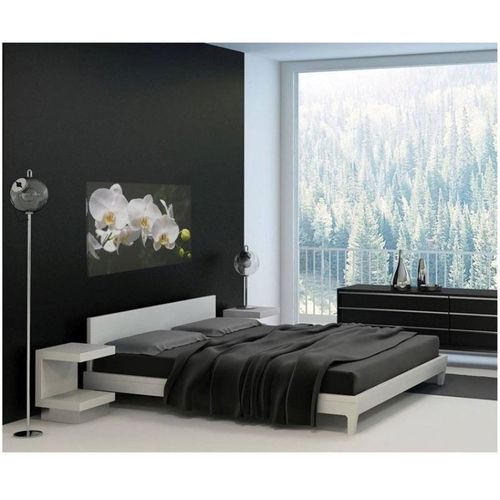 Obraz na płótnie - Canvas, Białe storczyki 50x40 na Arena.pl