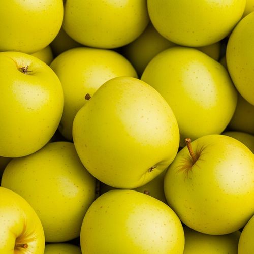 Jabłoń papierówka OLIWKA ŻÓŁTA bardzo wczesna PAPIERÓWKA Z DZIECIŃSTWA na Arena.pl