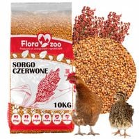 SORGO CZERWONE karma pokarm ziarno DLA KUR DROBIU KACZEK GĘSI PTAKÓW
