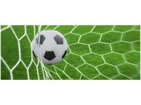 100X40CM PIŁKA BRAMCE OBRAZ DREWNO