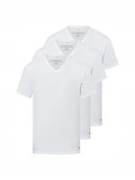 Calvin Klein T-shirt męski 1sztuka r.L