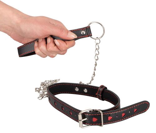 collar and leash na Arena.pl