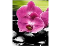 40X50CM STORCZYKI KAMIENIACH OBRAZ