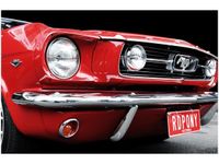 60X40CM RED MUSTANG Y OBRAZ