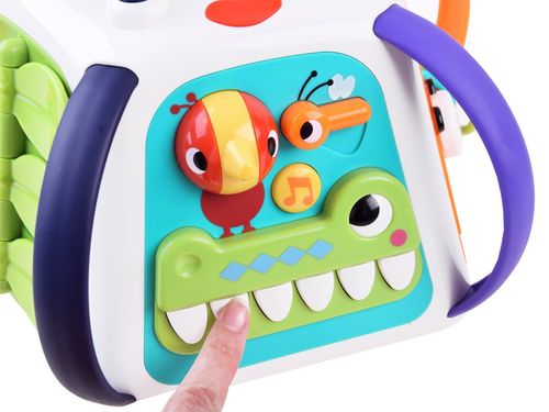 KOLOROWA  INTERAKTYWNA EDUKACYJNA MULTI KOSTKA na Arena.pl