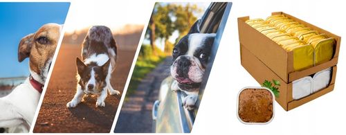 Karma Mokra dla Psa Tacka duży Pakiet Ekonomiczny 36 szt. x 300g 10,8 kg na Arena.pl