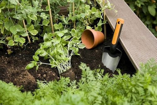 FISKARS ŁOPATKA PREMIUM FS1000726 na Arena.pl