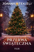 Przerwa Świąteczna