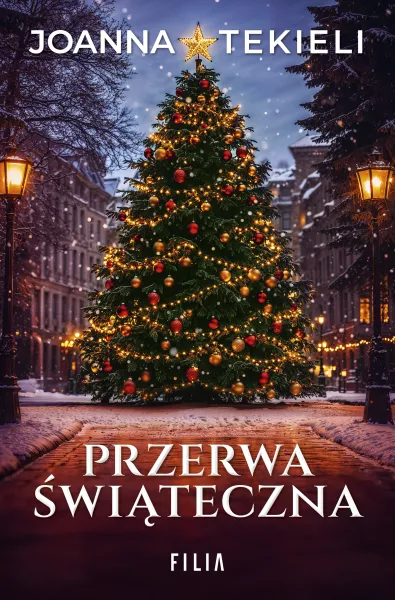Przerwa świąteczna zdjęcie 1