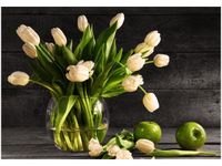 product-compare-58698729