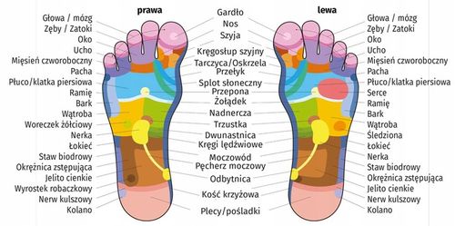 ELEKTRODY DO DŁONI/STÓP ELEKTROSTYMULATOR TENS EMS na Arena.pl
