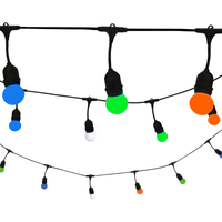 Girlanda ogrodowa z kolorowymi żarówkami 10 LED 5,6m IP44