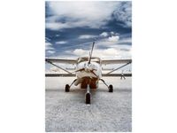 40X60CM SAMOLOT ŚMIGŁOWY OBRAZ