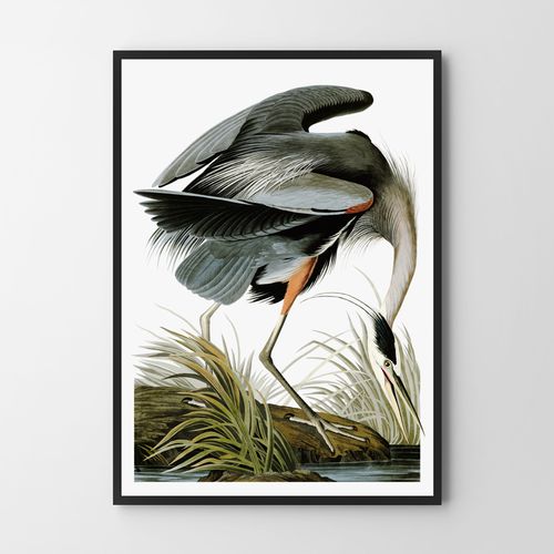 Plakat cyfrowy do wydruku ptak retro na Arena.pl