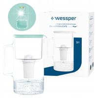 Dzbanek filtrujący Wessper D2 Borosilicate WES202-FF-MT 3L miętowy