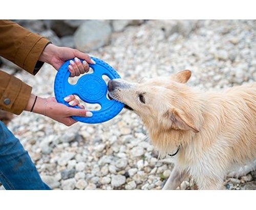 Kiwi Walker Let's Play Frisbee Maxi niebieskie na Arena.pl