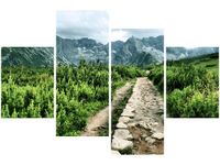 OBRAZ POLNA KAMIENISTA DROGA