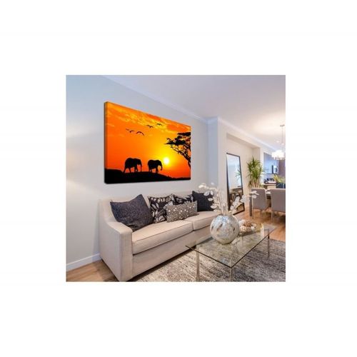 Obraz na płótnie - Canvas, Safari 70x50 na Arena.pl