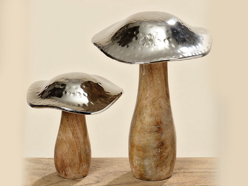 Kpl. 2 grzybków zdjęcie 1