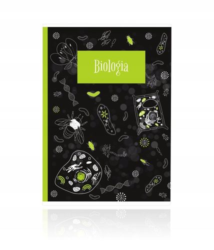 KOMPLET 10 ZESZYTÓW ZE ŚCIĄGĄ A5/60K ŚCIĄGA KOLOROWA 60 KARTEK na Arena.pl