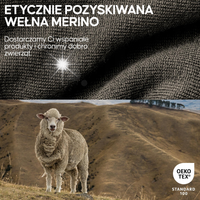Koszulka Termoaktywna Damska DANISH ENDURANCE Długi Rękaw Wełna Merino S