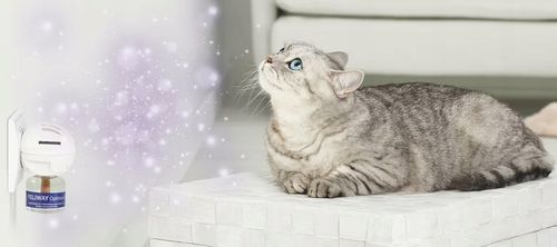 Feliway Optimum Feromony zestaw dyfuzor wkład 48ml na Arena.pl