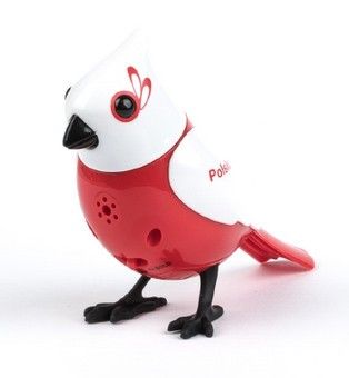 Dumel Śpiewający ptaszek DigiBirds POLEK na Arena.pl