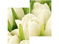60X60CM DELIKATNE TULIPANY DWU OBRAZ ŚCIAN