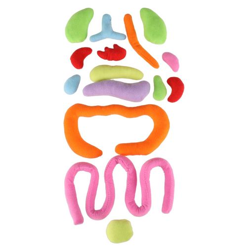 INTERAKTYWNA LALKA EDUKACYJNA DO NAUKI na Arena.pl