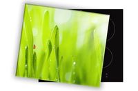 SZKLANA DESKA NA KUCHENKĘ 80x52 007B BIEDRONKA