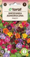 Mieszanka PNĄCZY nasiona 2 g.