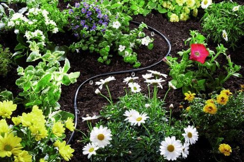 Linia kroplująca GARDENA Micro-Drip-System 1362-20 na Arena.pl