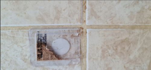 SILNY PROSZEK ŚRODEK PREPARAT TRUTKA NA MRÓWKI FARAONA PROTECT 3 SZT na Arena.pl