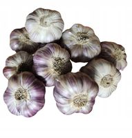 product-compare-61686442