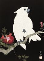 Plakat 13x18cm Cockatoo and Pomegranate 2, Koson Vintage do Salonu