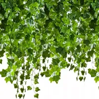 product-compare-61557242