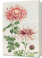 Obraz 40x60cm Kiku, Morikaga Japoński Vintage do Salonu