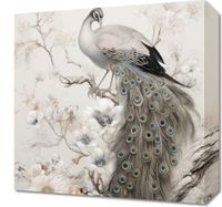 Obraz 40x40cm Pawia Gracja